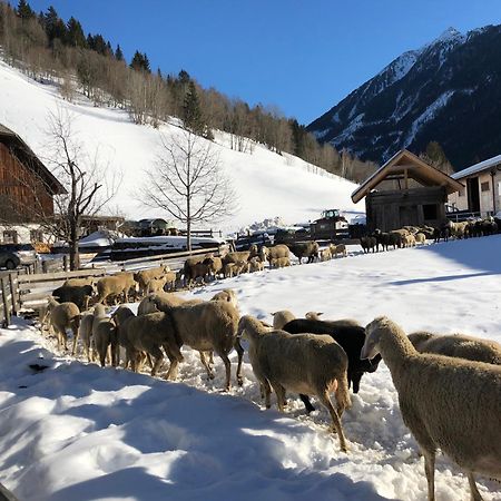 Villa Auerhof Schladming Esterno foto