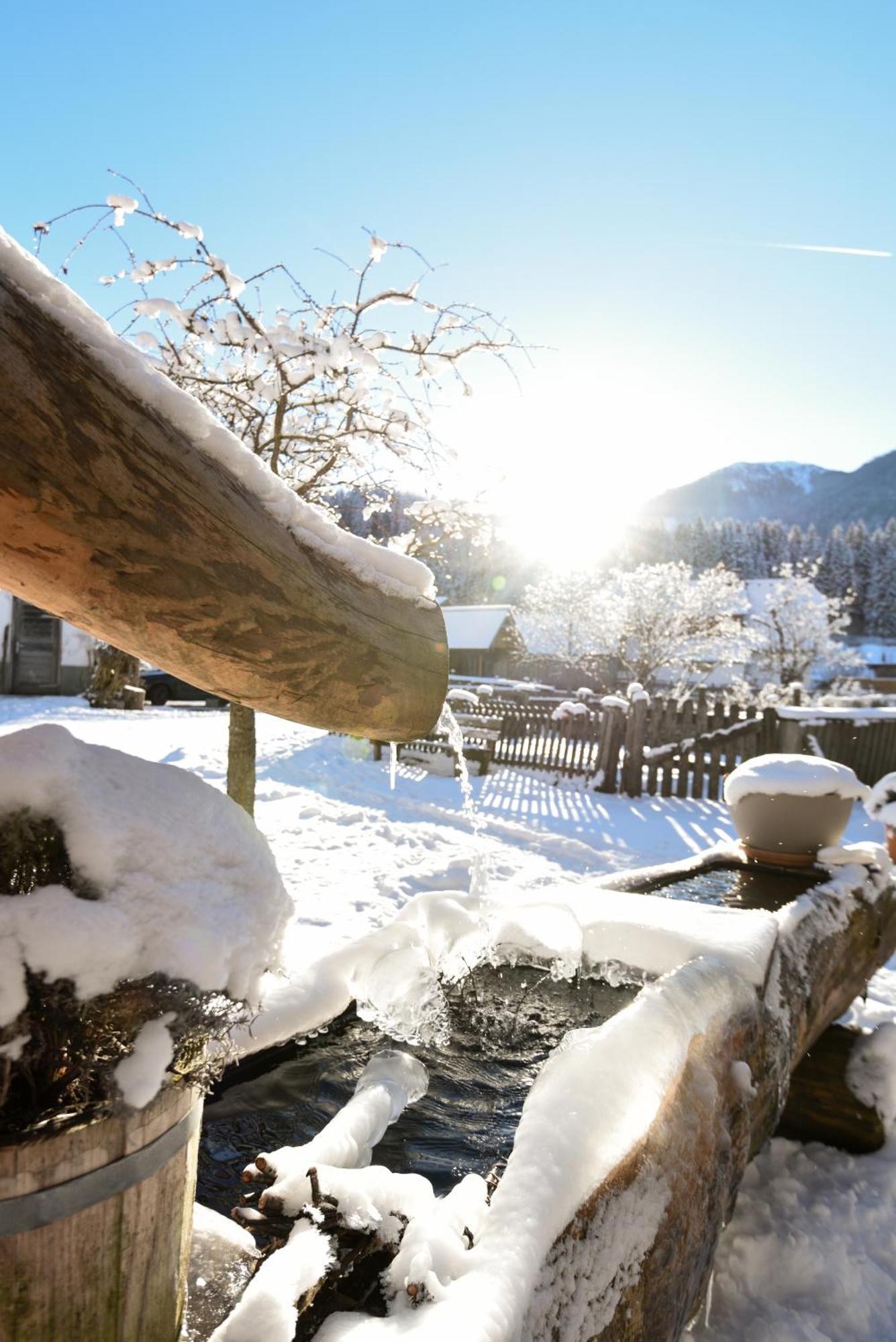 Villa Auerhof Schladming Esterno foto