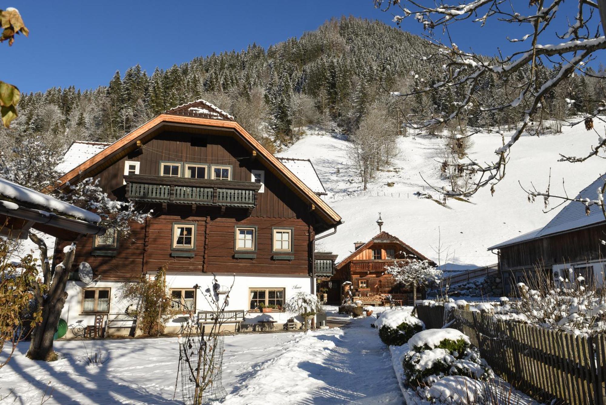 Villa Auerhof Schladming Esterno foto