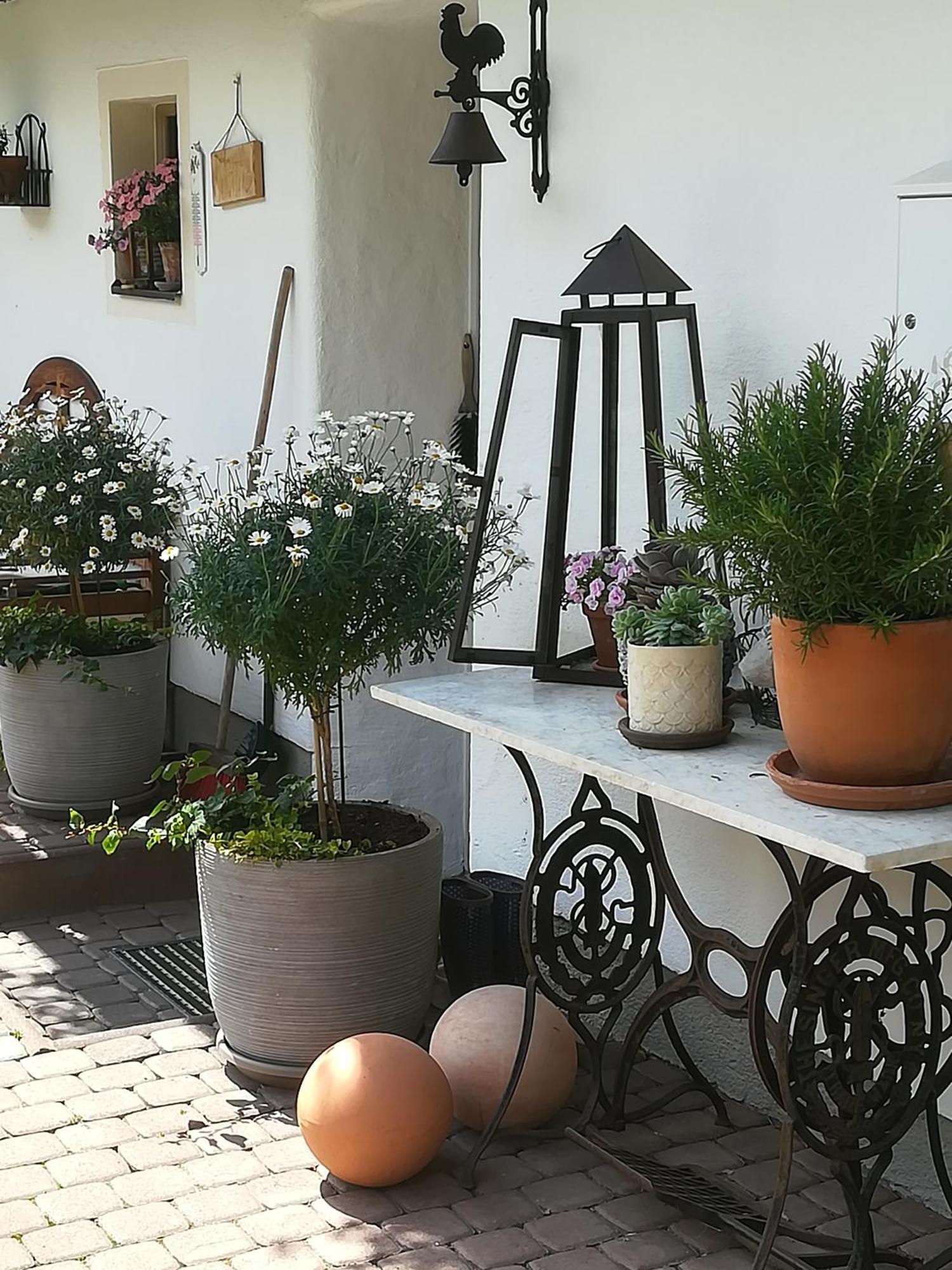 Villa Auerhof Schladming Esterno foto