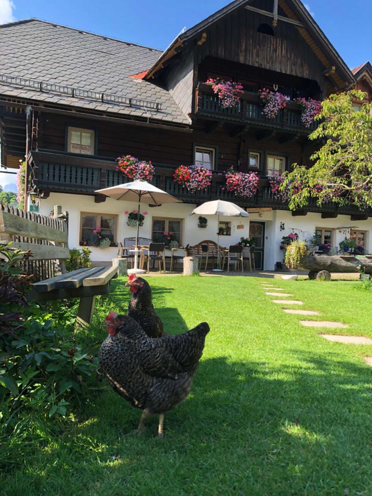 Villa Auerhof Schladming Esterno foto